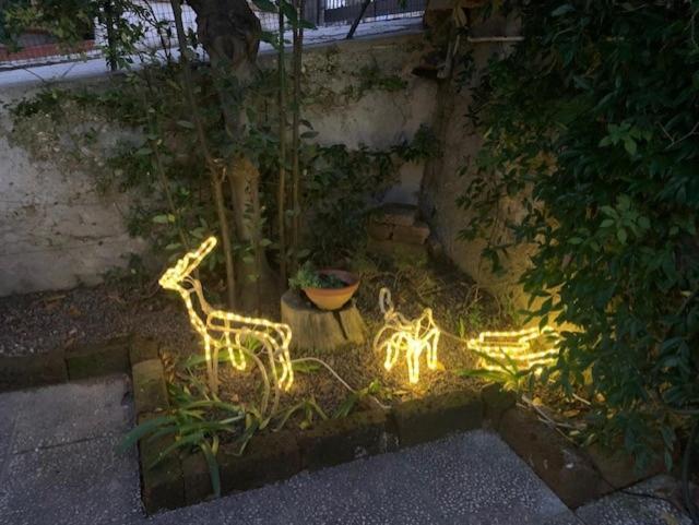 פאנו Mery'S House Casa Vacanza מראה חיצוני תמונה